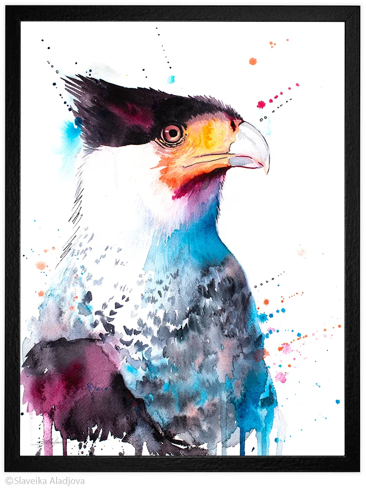 Crested caracara watercolor painting, limited edition art print by Slaveika Aladjova, view 2