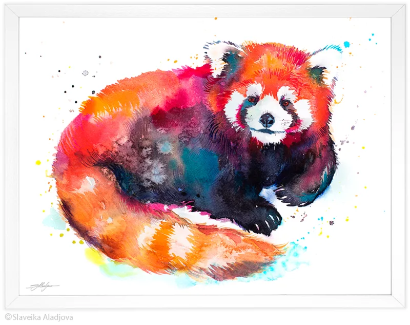 Red panda sitting with its tail curled, watercolor painting, limited edition art print by Slaveika Aladjova, view 4