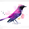Amethyst starling watercolor painting, limited edition art print by Slaveika Aladjova, view 4
