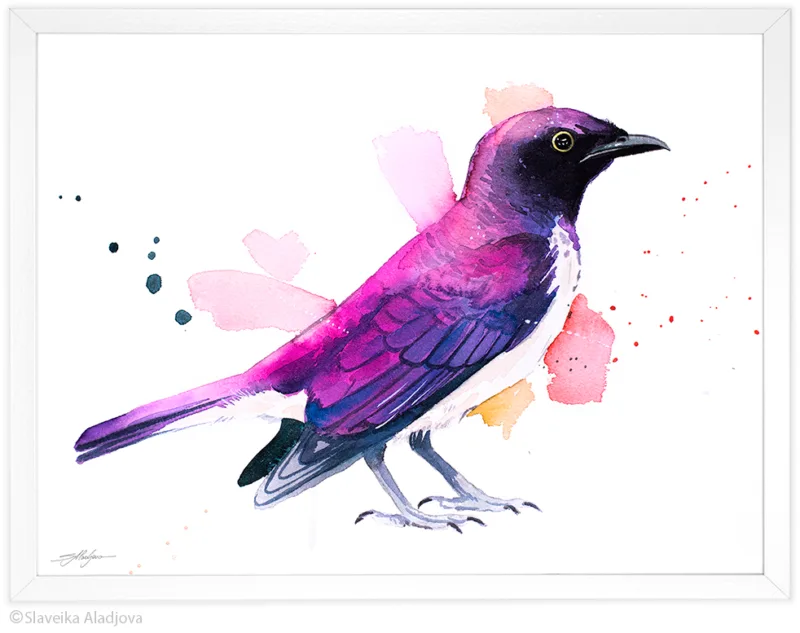 Amethyst starling watercolor painting, limited edition art print by Slaveika Aladjova, view 4