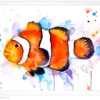 Clownfish watercolor painting, limited edition art print by Slaveika Aladjova, view 3