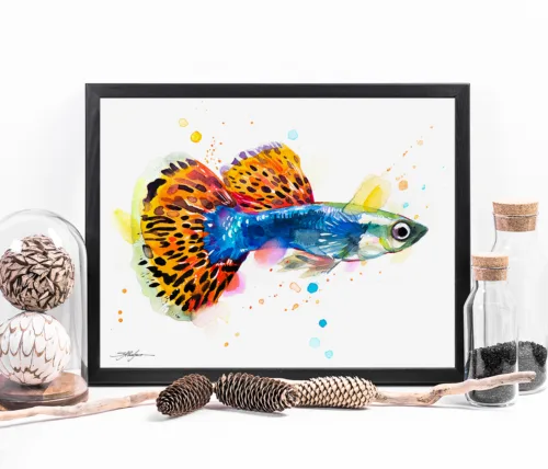 Guppy watercolor painting, limited edition art print by Slaveika Aladjova, view 2