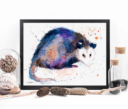 Opossum Opossum watercolor painting, limited edition art print by Slaveika Aladjova