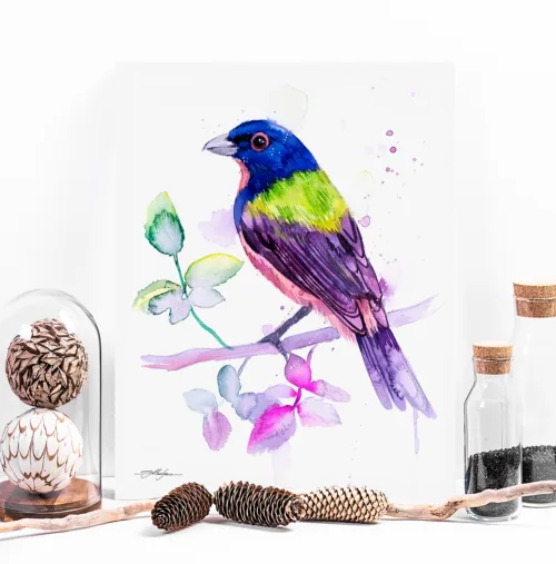 Painted bunting watercolor painting, limited edition art print by Slaveika Aladjova, view 2