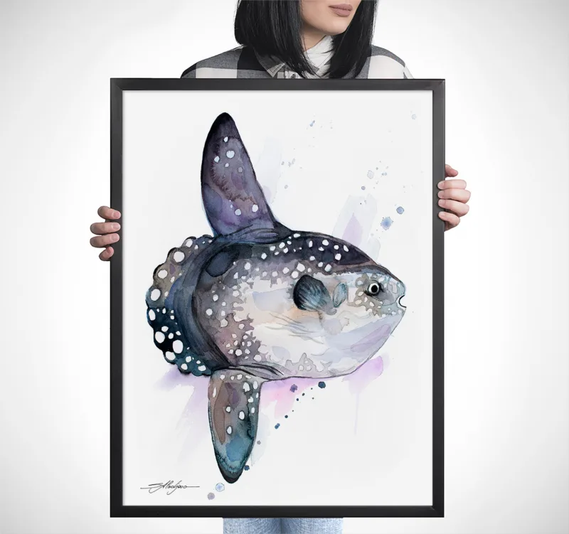Ocean sunfish Mola mola watercolor painting, limited edition art print by Slaveika Aladjova, view 4
