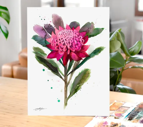 Waratah flower watercolor painting print by Slaveika Aladjova, art, illustration, Contemporary, Australian native plant, Botanical Waratah watercolor painting, limited edition art print by Slaveika Aladjova
