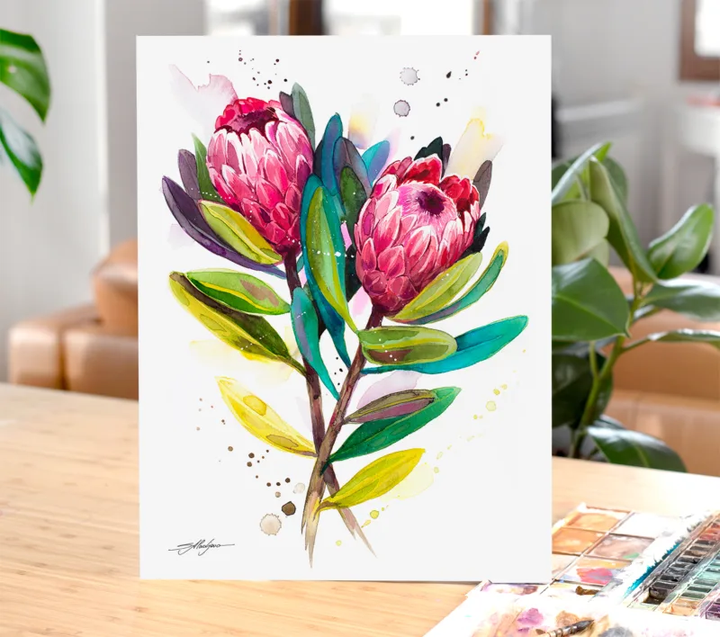 Protea Pink Ice watercolor painting, limited edition art print by Slaveika Aladjova
