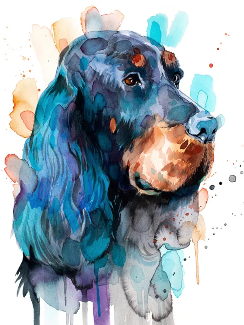Gordon Setter Dog