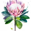 King protea King protea