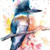 Belted kingfisher