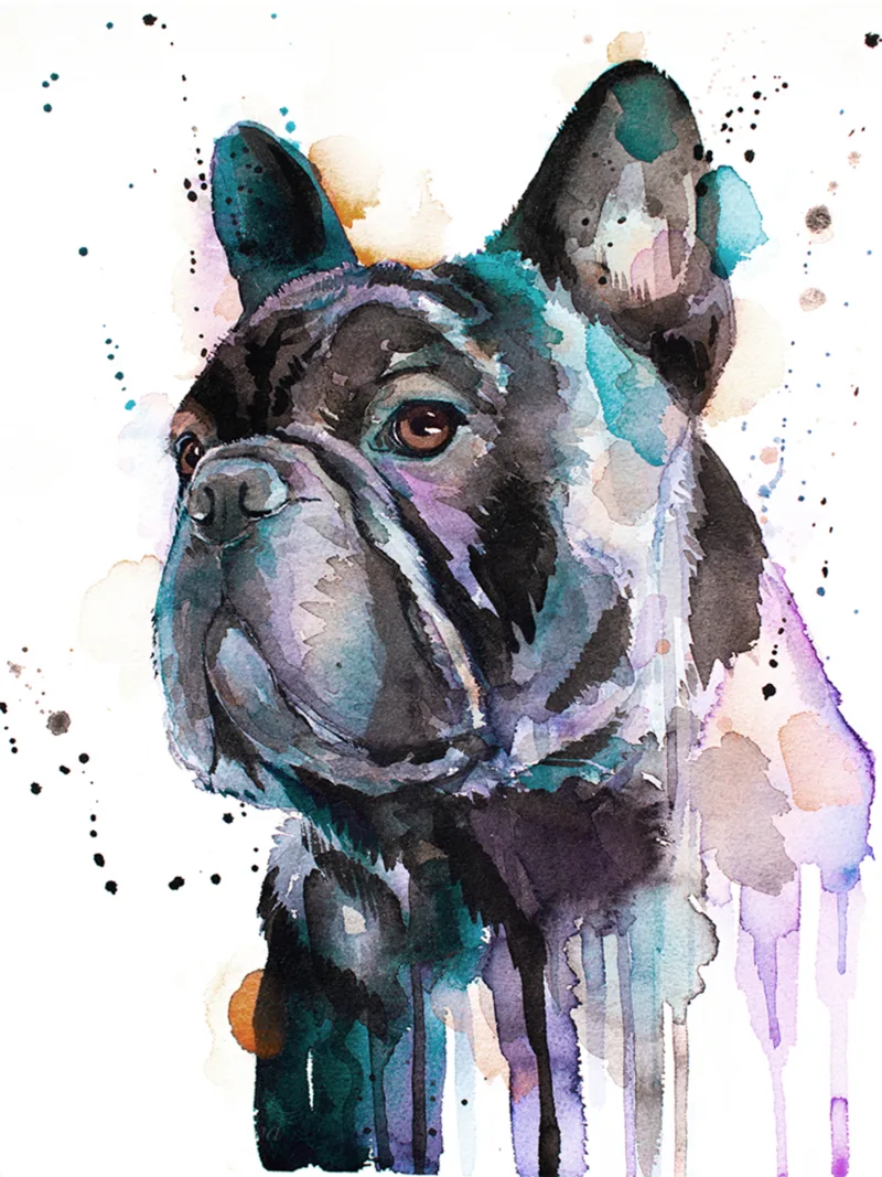Black French Bulldog watercolor painting print by Slaveika Aladjova Black French Bulldog