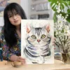 American Shorthair cat