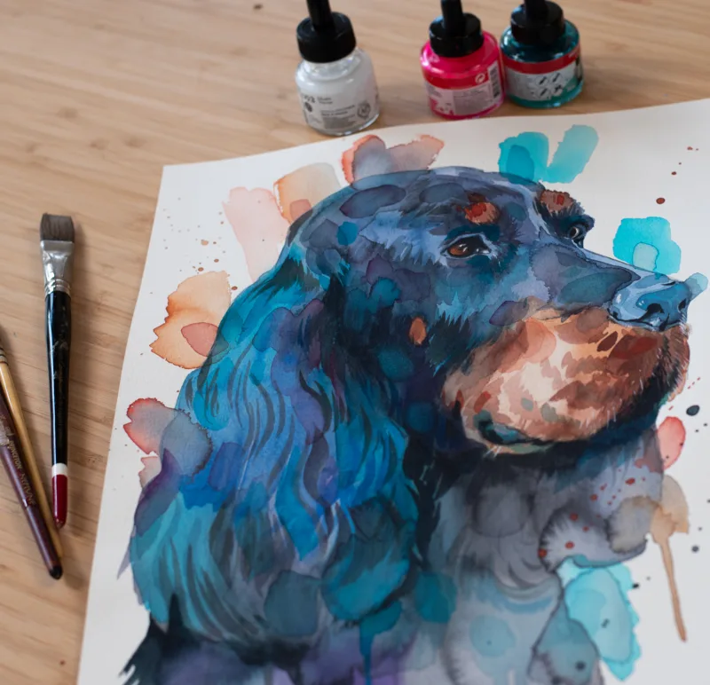 Gordon Setter Dog Gordon Setter Dog