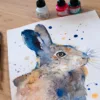 Hare rabbit-2 Hare rabbit