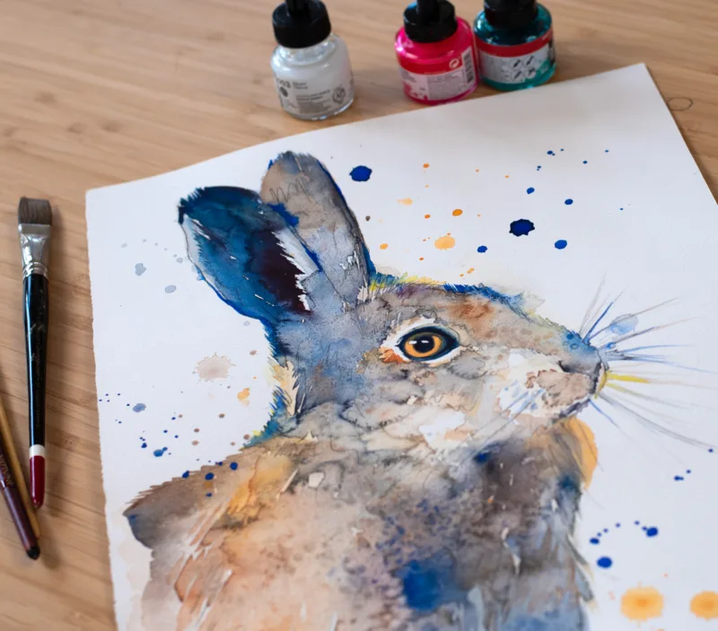 Hare rabbit-2 Hare rabbit