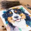 Bernese Mountain Dog Bernese Mountain Dog