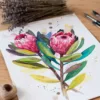 Protea Pink Ice Protea Pink Ice