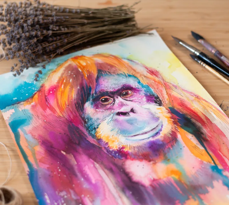 Orangutan Orangutan
