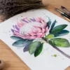 King protea King protea