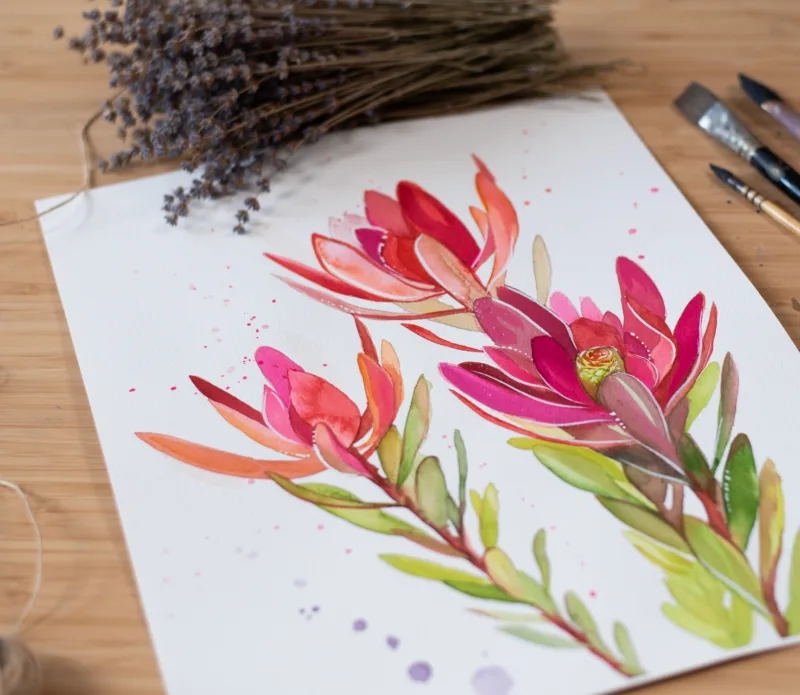Leucadendron, Safari Sunset flower