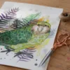 Kakapo, Owl parrot, bird Kakapo, Owl parrot, bird