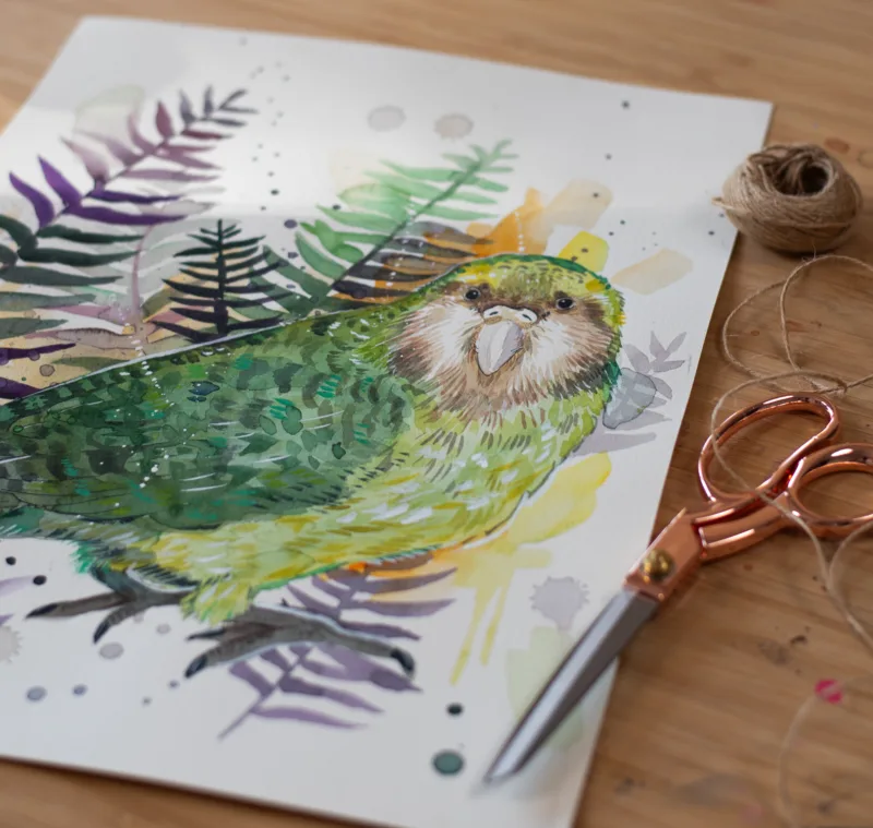 Kakapo, Owl parrot, bird Kakapo, Owl parrot, bird