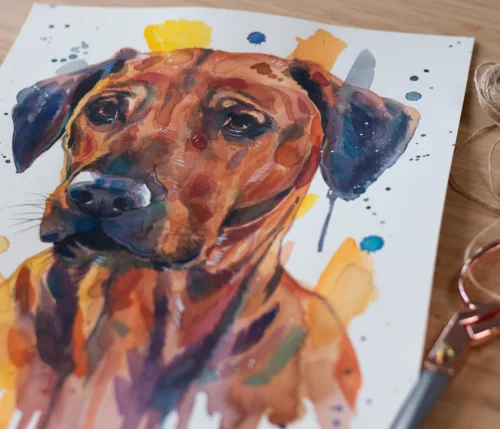 Rhodesian Ridgeback Dog