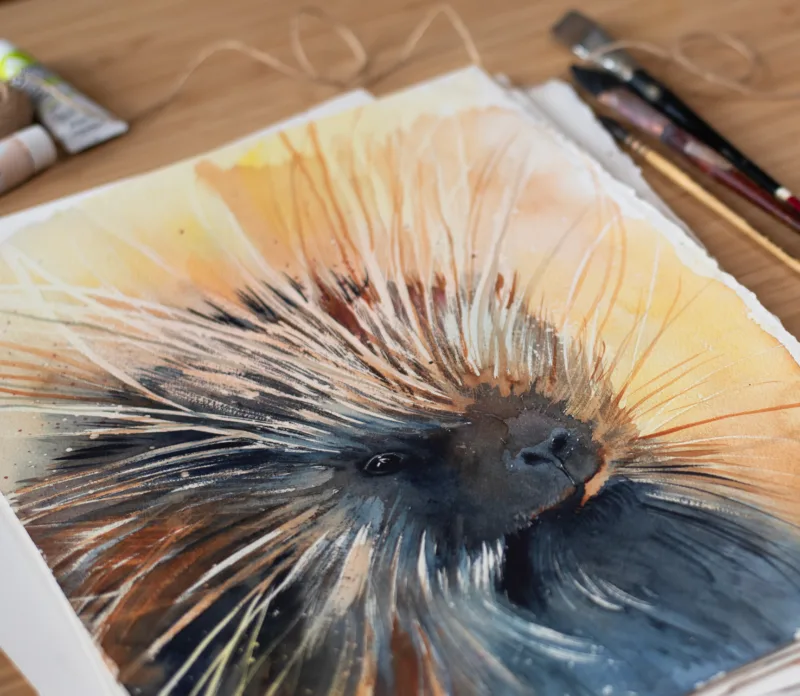 "North American porcupine" Original Watercolor Painting "North American porcupine" Original Watercolor Painting
