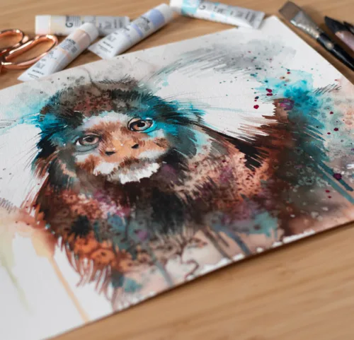 Common marmoset