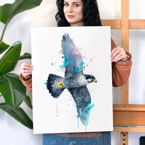 Peregrine falcon Peregrine falcon in flight watercolor painting, limited edition art print by Slaveika Aladjova