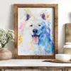 White Swiss Shepherd Dog White Swiss Shepherd Dog