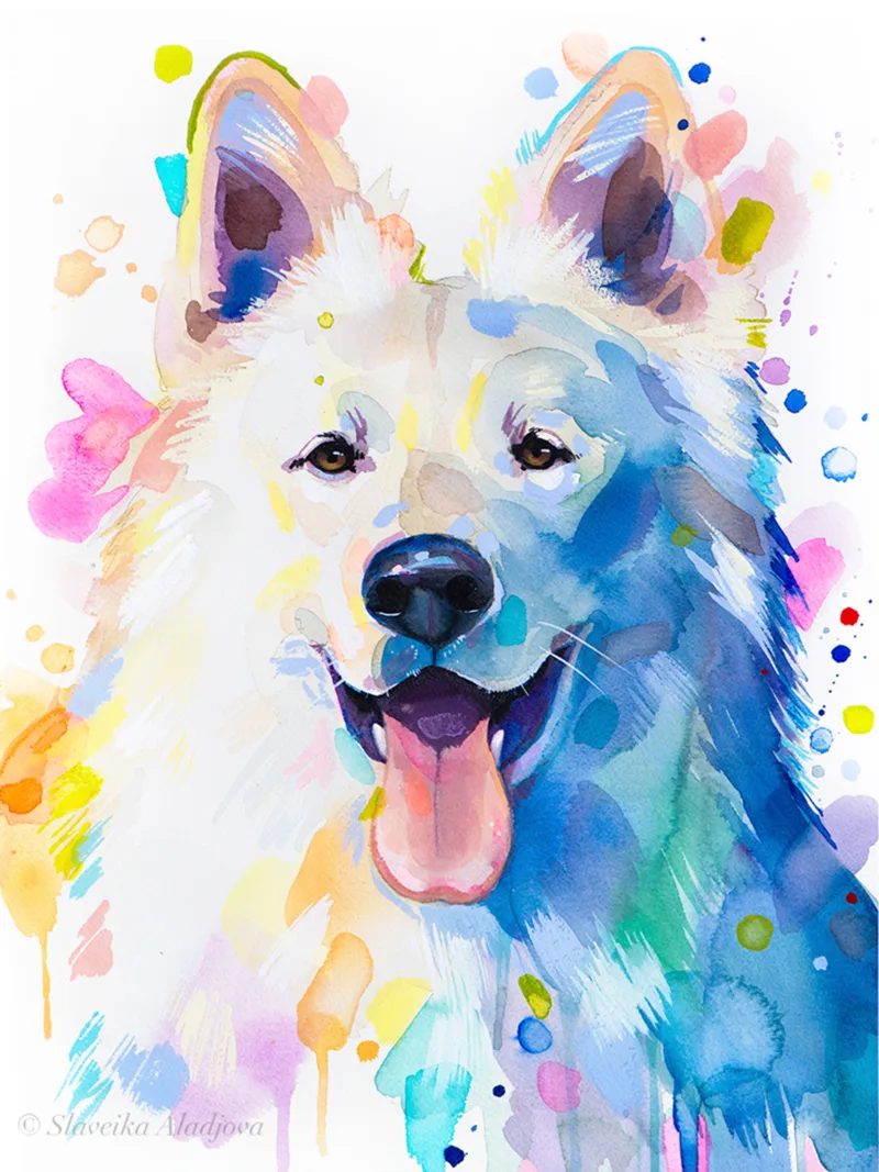 White Swiss Shepherd Dog White Swiss Shepherd Dog