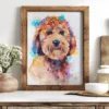 Goldendoodle dog Goldendoodle dog