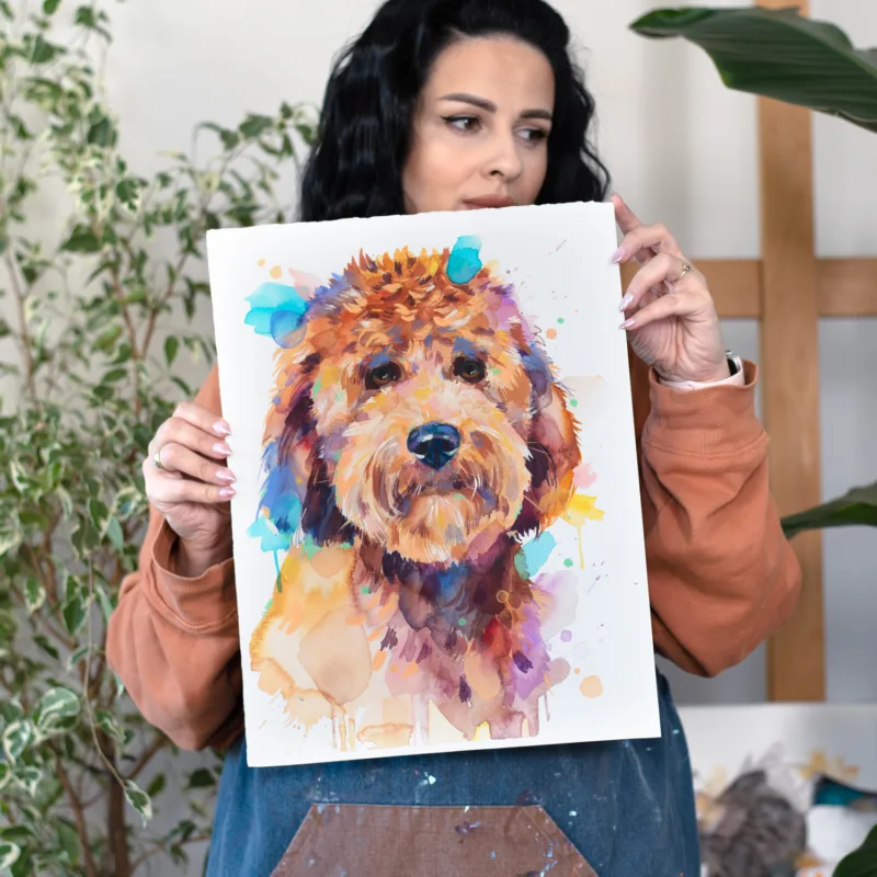 Goldendoodle dog Goldendoodle dog