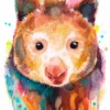 Tree-kangaroo Tree-kangaroo