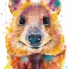 Quokka