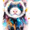 Ferret Ferret