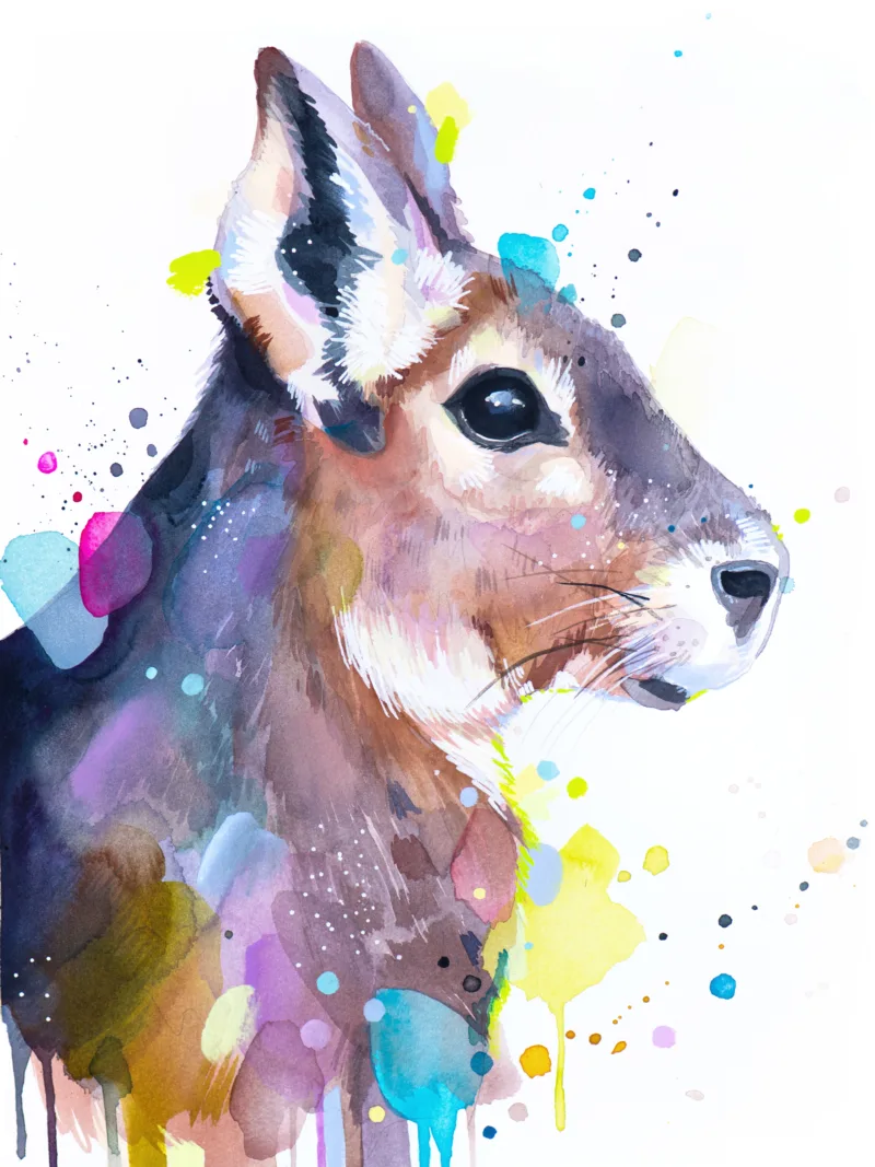 Patagonian mara