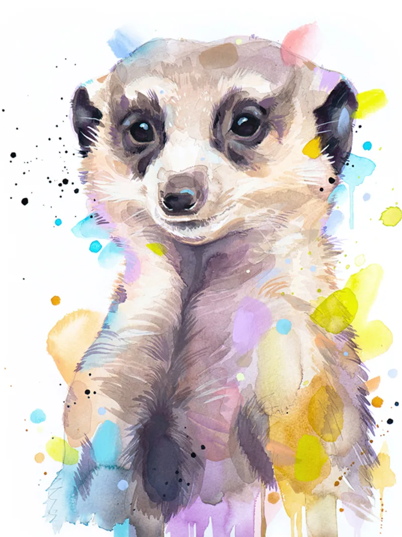 Meerkat Meerkat