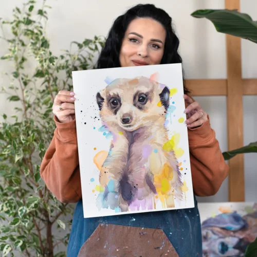Meerkat