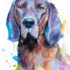 Hanover Hound Dog