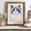 Ragdoll cat