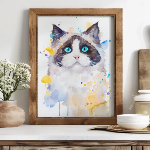 Ragdoll cat