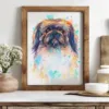 Pekingese Dog Pekingese Dog