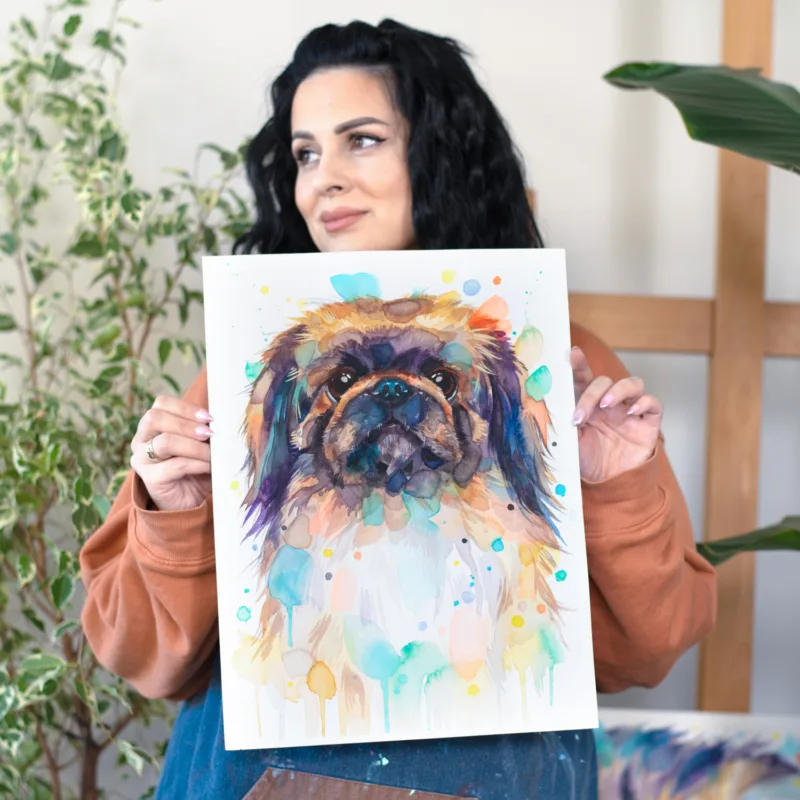 Pekingese Dog Pekingese Dog