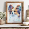 Papillon dog Papillon dog