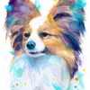 Papillon dog Papillon dog