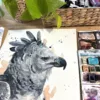Harpy eagle Harpy eagle