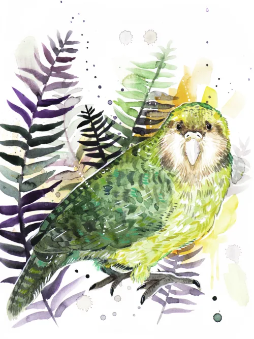 Kakapo, Owl parrot