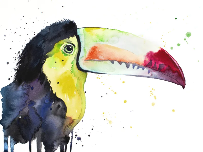 "Keel-Billed Toucan" Original Watercolor Painting